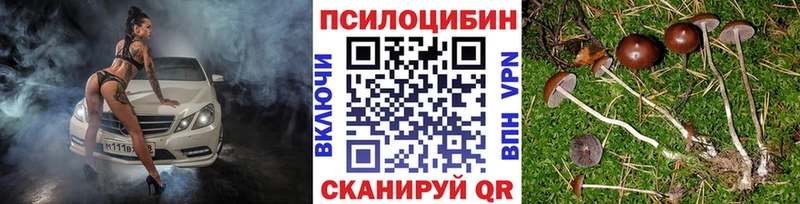 mega ссылки  Зуевка  Галлюциногенные грибы MAGIC MUSHROOMS 